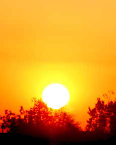 Anand Clicks (Nature Photography)