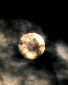 Anand Clicks (Nature Photography)