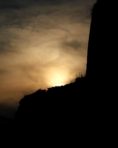 Anand Clicks (Nature Photography)